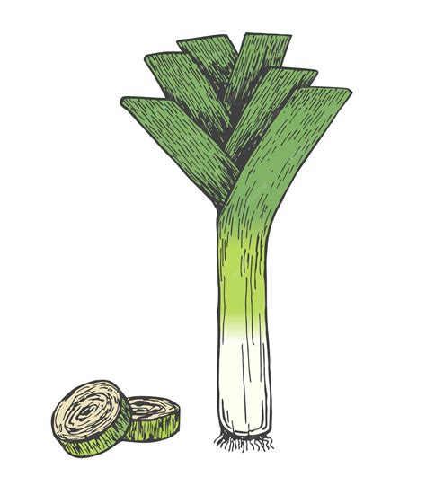 Ilustración de varios ingredientes frescos: espárragos, puerro, cebolla, manzana, apio.