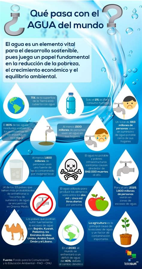 infografía sobre cómo el agua acelera el metabolismo