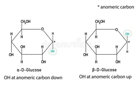 Estructura cíclica de la α- y β-glucosa
