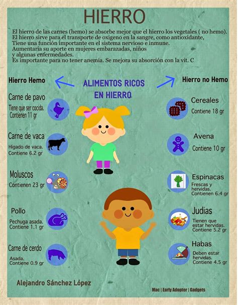 infografía sobre los beneficios del hierro en la recuperación muscular