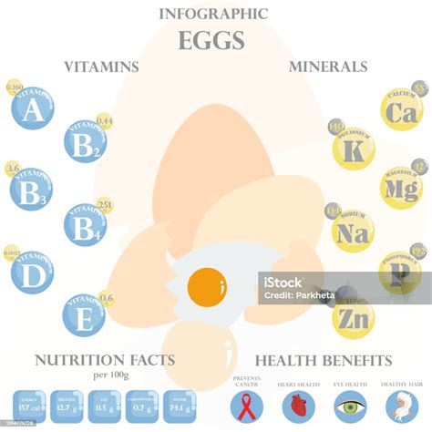 infografía nutricional sobre los huevos
