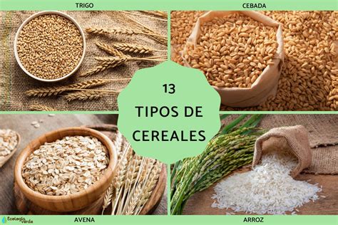 Imagen de los 5 cereales destacados con bajo contenido de azúcar