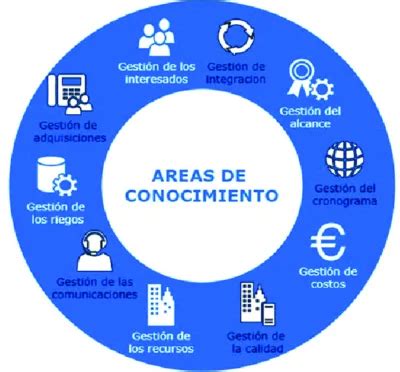 Gráfico circular mostrando la distribución de áreas de conocimiento cubiertas en los cursos del instituto (nutrición, psicología, entrenamiento, medicina).
