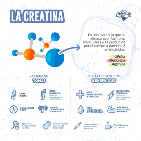 Infografía: Beneficios de la creatina para el rendimiento deportivo