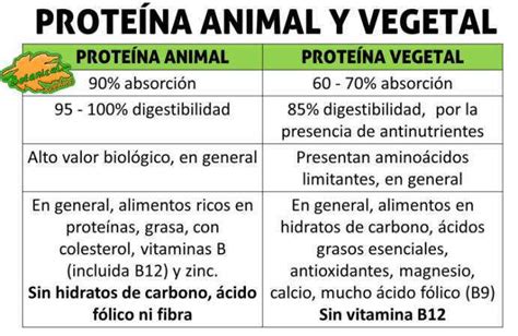 Infografía comparativa: Proteínas animales vs. Proteínas veganas