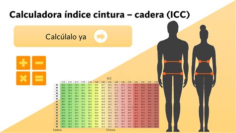 tabla comparativa de las proporciones saludables de cintura-altura según el Reino Unido y la OMS