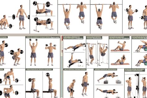tabla resumen de ejercicios de Sophia de Michele con instrucciones visuales