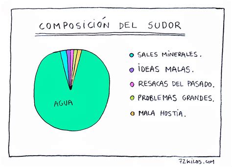 Gráfico comparativo mostrando la composición del sudor: mayoritariamente agua y minerales, con una mínima cantidad de toxinas.