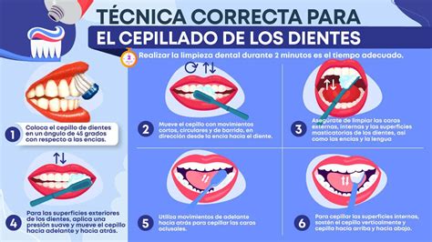 Ilustración detallada mostrando los pasos correctos para usar la CeluliCup y realizar el masaje anticelulítico.