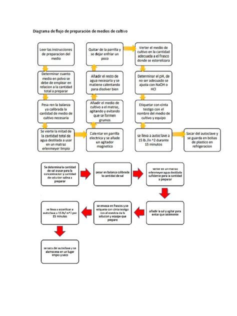 Infografía detallando los pasos básicos de una preparación de escabeche