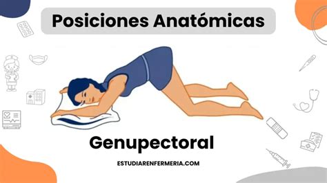 Esquema de la posición Genupectoral arrodillada