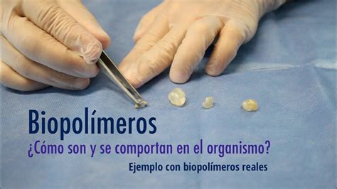 ilustración que compara la apariencia de un cuerpo con biopolímeros y uno sin ellos, mostrando los riesgos.