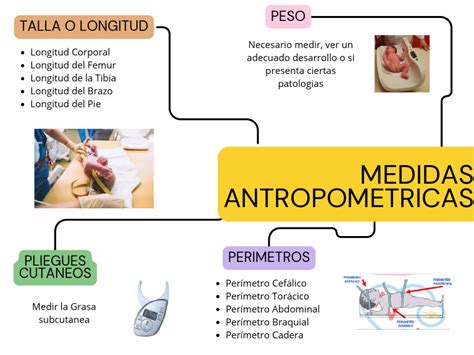 Diagrama ilustrativo de las mediciones antropométricas para la composición corporal de cinco componentes.