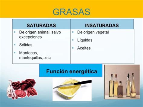 Infografía comparativa de grasas saturadas e insaturadas
