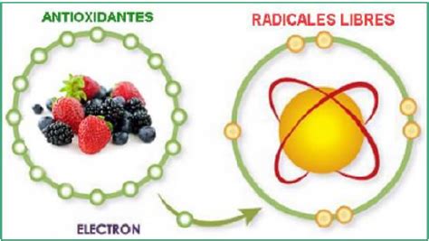 Infografía comparativa de la actividad antioxidante de las xantonas del mangostán frente a otros antioxidantes comunes.