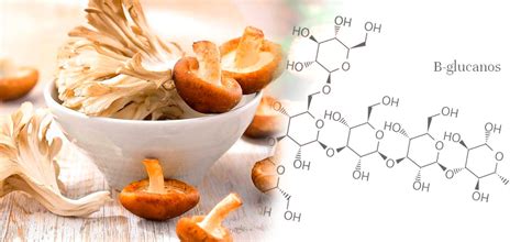 Diagrama molecular que muestra la estructura de los beta-glucanos y triterpenos presentes en el Reishi.
