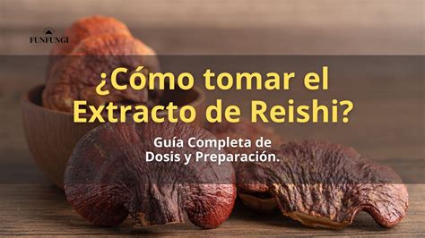 Infografía mostrando las diferentes formas de consumir Reishi: cápsulas, polvo, extracto líquido.