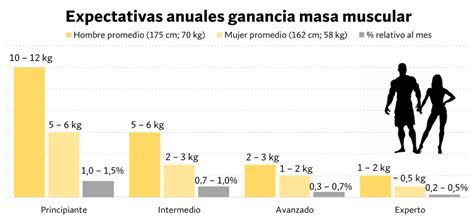 Gráfico mostrando la progresión esperada de ganancia muscular a lo largo de varios meses.