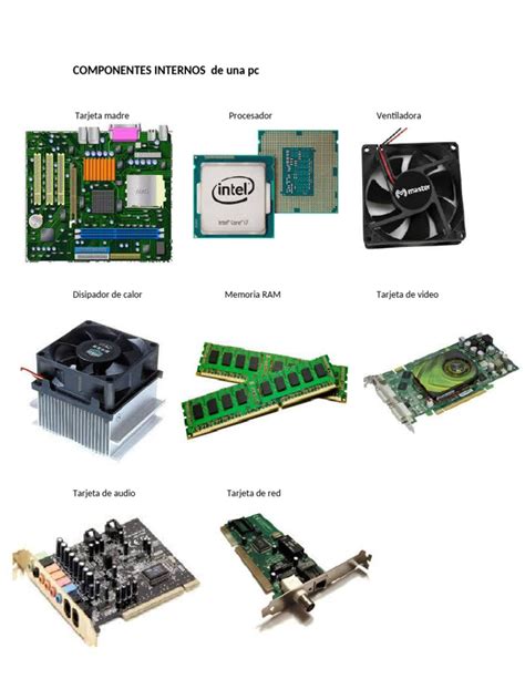Ilustración de los componentes internos de una gammacámara.