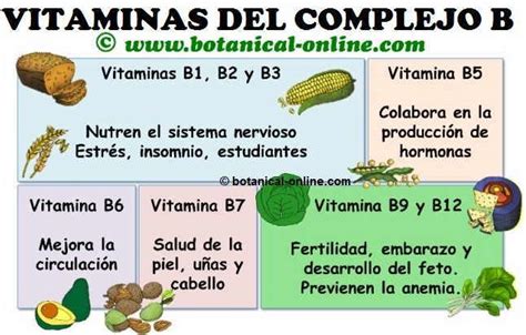 Infografía detallada de las 8 vitaminas del grupo B y sus funciones principales.