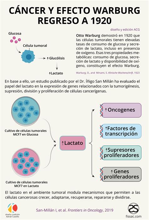 Infografía comparando el metabolismo de células cancerosas (Efecto Warburg) y células sanas en dieta cetogénica.