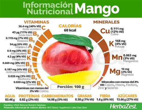 Infografía detallando el contenido nutricional del melón por cada 100 gramos (calorías, agua, azúcares, fibra, vitaminas y minerales).