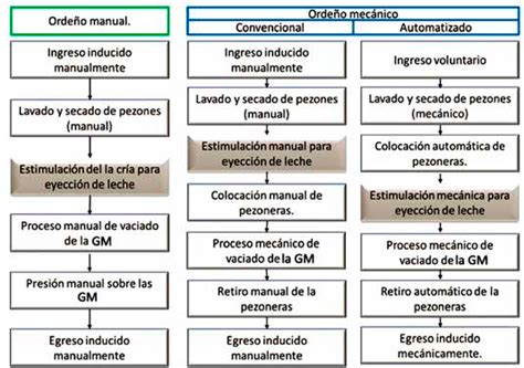 Diagrama comparativo de los métodos de ordeño manual y mecánico, destacando sus características y equipos.