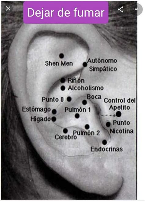 Ilustración de puntos clave de auriculoterapia para el control del apetito