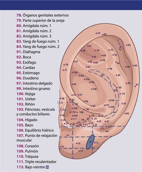 Infografía comparativa de métodos de estimulación en auriculoterapia