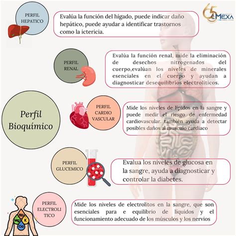Gráfico ilustrativo de un perfil bioquímico con sus principales componentes.